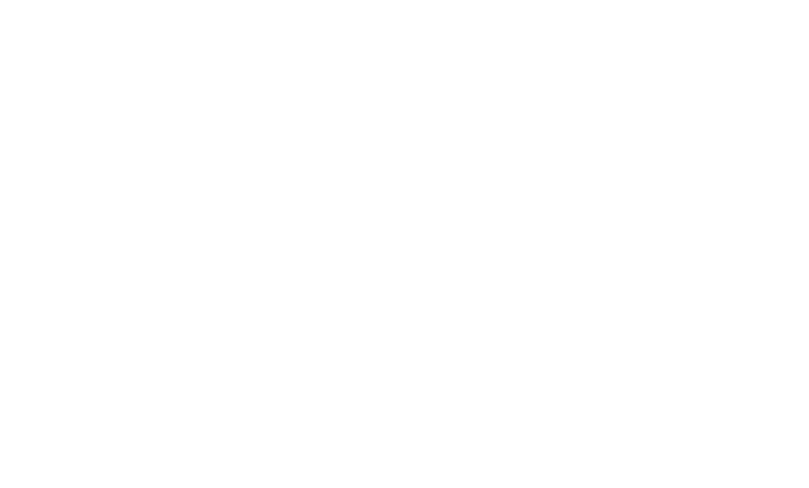 CHIZ SENSES